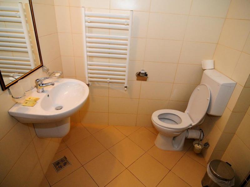 Hotel Termal Geoagiu Băi المظهر الخارجي الصورة